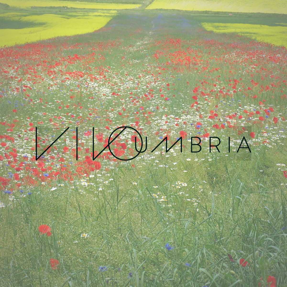 Giornale online perugia umbria cultura
